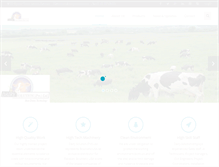 Tablet Screenshot of dairysolution.com